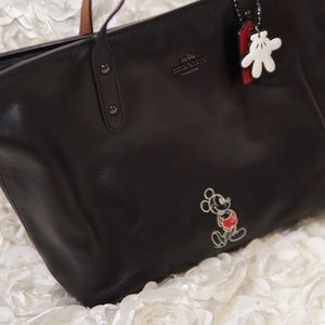 Disney X COACH Limited Edition